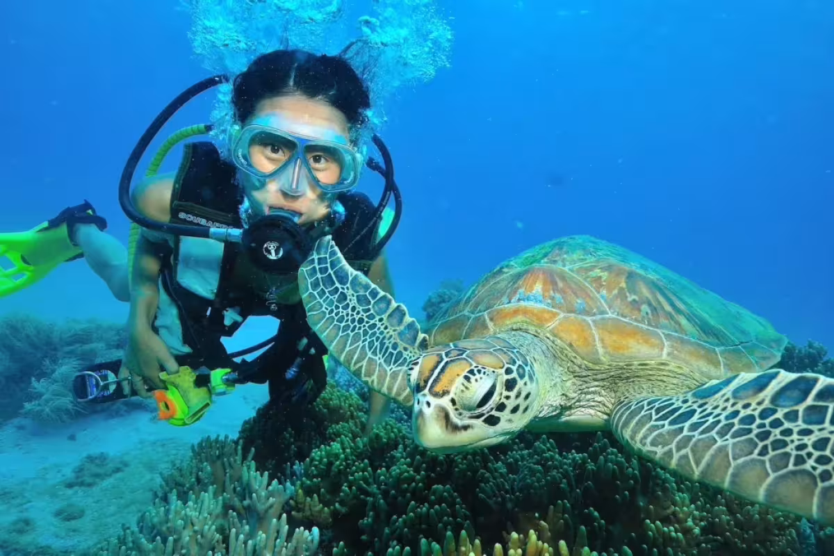 Snorkeler-with-Green-Turtle_small