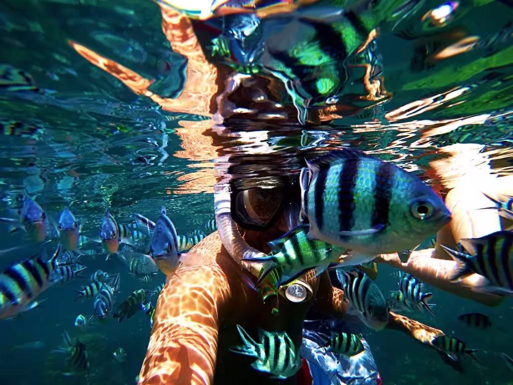 Underwater-shot-of-person-diving-small